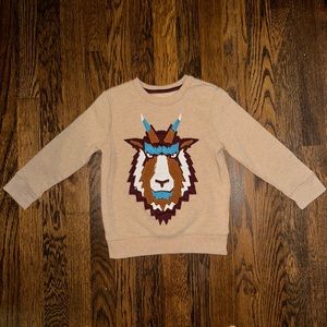 Tan sweater 4T Boy